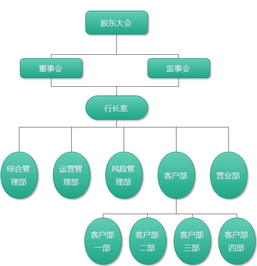 个体户组织机构图图片